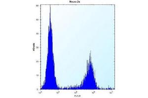 Flow cytometric analysis of Neuro-2a cells using MAN2A2 Antibody (Center) Cat. (MAN2A2 antibody  (Middle Region))