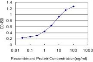 Detection limit for recombinant GST tagged ATG5 is approximately 0. (ATG5 antibody  (AA 176-275))