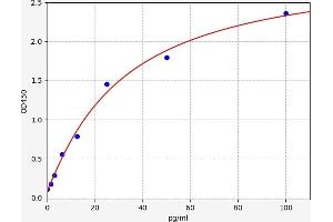 Typical standard curve (FAM3D ELISA Kit)