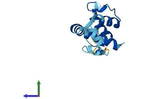 AlphaFold protein structure predicition of Human Recombinant CNFN Protein, UniprotID Q9BYD5 (Cornifelin (CNFN) (AA 1-112) protein (His tag))