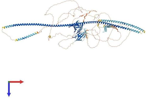 FKBP15 Protein (AA 1-1216) (His tag)