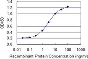 Detection limit for recombinant GST tagged PDCL is 0. (Phosducin-Like antibody  (AA 1-301))