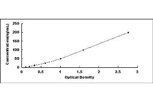 Typical standard curve (Anti-Interferon beta Antibody (Anti-IFNb) ELISA Kit)