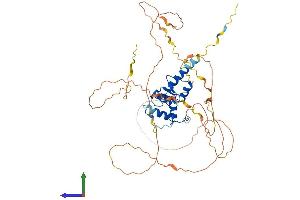 AlphaFold protein structure predicition of Human Recombinant AGFG2 Protein, UniprotID O95081