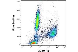 Flow cytometry surface staining pattern of human peripheral whole blood spiked with K562 cells stained using anti-human CD30 (MEM-268) PE antibody (concentration in sample 3 μg/mL).