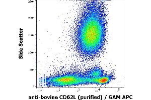 Flow cytometry surface staining pattern of bovine peripheral whole blood stained using anti-bovine CD62L (IVA94) purified antibody (concentration in sample 1 μg/mL) GAM APC. (L-Selectin antibody)