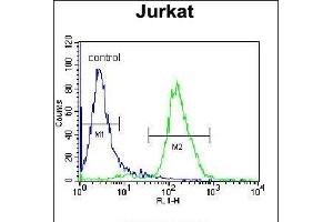 JAZF1 Antibody (N-term) (ABIN655639 and ABIN2845117) flow cytometric analysis of Jurkat cells (right histogram) compared to a negative control cell (left histogram). (JAZF1 antibody  (N-Term))