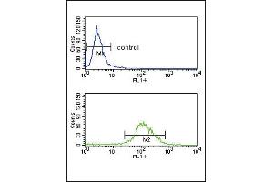 TAT Antibody (Center) (ABIN653486 and ABIN2842905) flow cytometry analysis of K562 cells (bottom histogram) compared to a negative control cell (top histogram). (Tat (AA 279-306) antibody)