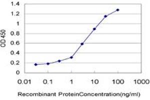 Detection limit for recombinant GST tagged IL8 is approximately 0. (IL-8 antibody  (AA 21-99))