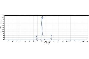 anti-IL2RA (Daclizumab Biosimilar) antibody