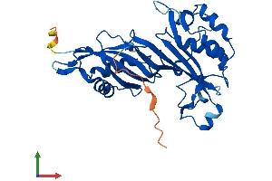 AlphaFold protein structure predicition of Human Recombinant PUSL1 Protein, UniprotID Q8N0Z8 (PUSL1 Protein (AA 1-303) (His tag))