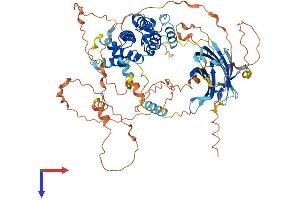 AlphaFold protein structure predicition of Human Recombinant SYDE1 Protein, UniprotID Q6ZW31 (SYDE1 Protein (AA 1-735) (His tag))