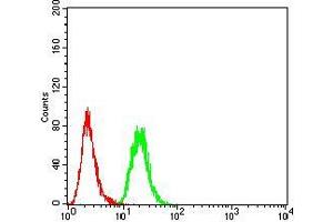 Flow cytometric analysis of MCF-7 cells using KDM5B mouse mAb (green) and negative control (red). (KDM5B antibody  (AA 231-319))