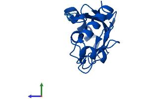 Protein Structure (PS) image for Ubiquitin-Conjugating Enzyme E2D 2 (UBE2D2) (AA 1-147) protein (His tag) (ABIN7544861)
