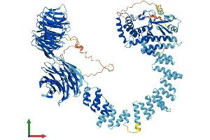 Protein Structure (PS) image for Intraflagellar Transport 122 (IFT122) (AA 1-1241) protein (His tag) (ABIN7554180)