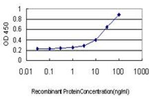 Detection limit for recombinant GST tagged TFCP2 is approximately 0. (TFCP2 antibody  (AA 414-502))