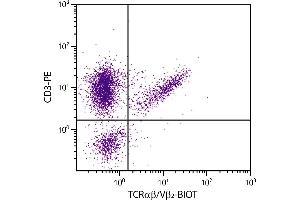 Chicken peripheral blood lymphocytes were stained with Mouse Anti-Chicken TCRαβ/Vβ2-BIOT. (TCRab/Vb2 antibody (FITC))