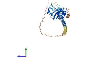Protein Structure (PS) image for Testis Specific Protein, Y-Linked 1 (TSPY1) (AA 1-308) protein (His tag) (ABIN7544755)