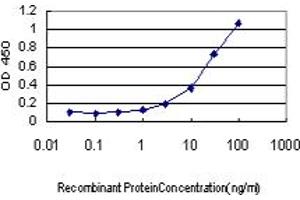 Detection limit for recombinant GST tagged MUC5AC is approximately 3ng/ml as a capture antibody. (MUC5AC antibody  (AA 351-450))
