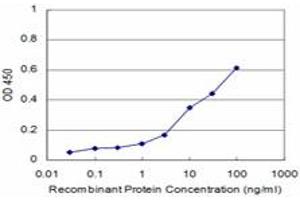 Detection limit for recombinant GST tagged TIE1 is approximately 1ng/ml as a capture antibody. (TIE1 antibody  (AA 422-521))