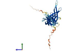 AlphaFold protein structure predicition of Human Recombinant ARRDC5 Protein, UniprotID A6NEK1
