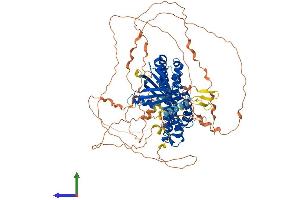 AlphaFold protein structure predicition of Human Recombinant ARHGEF15 Protein, UniprotID O94989