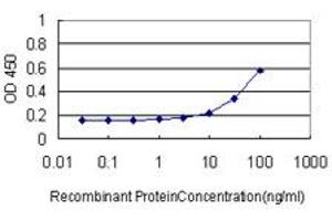 Detection limit for recombinant GST tagged MKNK1 is approximately 3ng/ml as a capture antibody.