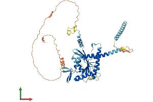 AlphaFold protein structure predicition of Human Recombinant SEPTIN4 Protein, UniprotID O43236 (Septin 4 Protein (SEPT4) (AA 1-478) (His tag))