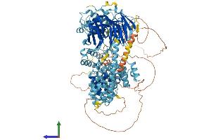 Protein Structure (PS) image for Hermansky-Pudlak Syndrome 5 (HPS5) (AA 1-1129) protein (His tag) (ABIN7554131)