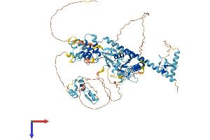 AlphaFold protein structure predicition of Mouse Recombinant Ankzf1 Protein, UniprotID Q80UU1 (ANKZF1 Protein (AA 1-748) (His tag))