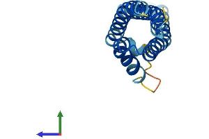 AlphaFold protein structure predicition of Mouse Recombinant Cnih2 Protein, UniprotID O35089