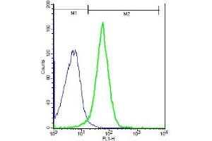 Mouse probed with Rabbit Anti-TRPM2 Polyclonal Antibody, Unconjugated (ABIN681223) (green) at 1:100 for 40 minutes followed by a FITC conjugated secondary compared to control cells (blue). (TRPM2 antibody  (AA 951-1050))