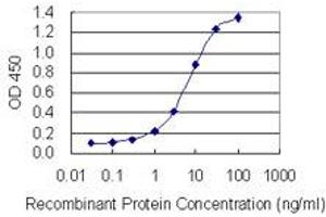 Detection limit for recombinant GST tagged TET1 is 0. (TET1 antibody  (AA 2038-2136))