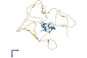 GATA2 Protein (AA 1-480) (His tag)
