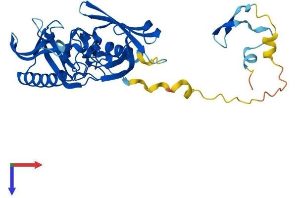BBS5 Protein (AA 1-341) (His tag)