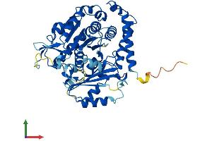 AlphaFold protein structure predicition of Mouse Recombinant Tuba1a Protein, UniprotID P68369