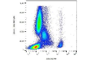 Surface staining of human peripheral blood with anti-CD123 PE. (IL3RA antibody  (PE))