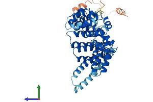 Protein Structure (PS) image for TATA Box Binding Protein (TBP)-Associated Factor, RNA Polymerase I, A, 48kDa (TAF1A) (AA 1-453) protein (His tag) (ABIN7556789)