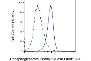 Validation of Phosphoglycerate kinase 1 knockdown using flow cytometry. (PGK1 antibody)