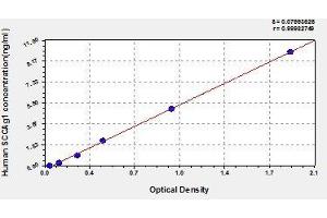 Typical standard curve (SCCAg ELISA Kit)
