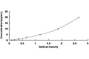 Typical standard curve (MYH6 ELISA Kit)