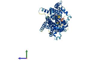 Protein Structure (PS) image for Phosphatidylinositol Glycan Anchor Biosynthesis, Class Z (PIGZ) (AA 1-560) protein (His tag) (ABIN7558878)