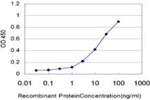 Detection limit for recombinant GST tagged ZNF24 is approximately 0. (ZNF24 antibody  (AA 1-368))