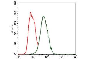 Flow Cytometry (FACS) image for anti-Hexosaminidase A (HEXA) antibody (ABIN1846273) (Hexosaminidase A antibody)