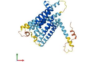 AlphaFold protein structure predicition of Mouse Recombinant Tas2r119 Protein, UniprotID Q9JKT2 (TAS2R119 Protein (AA 1-335) (His tag))