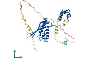 Protein Structure (PS) image for Sorting Nexin 15 (SNX15) (AA 1-337) protein (His tag) (ABIN7560032)