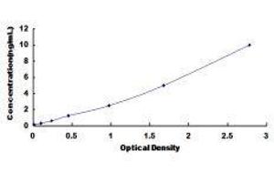 Protamine 2 (PRM2) ELISA Kit