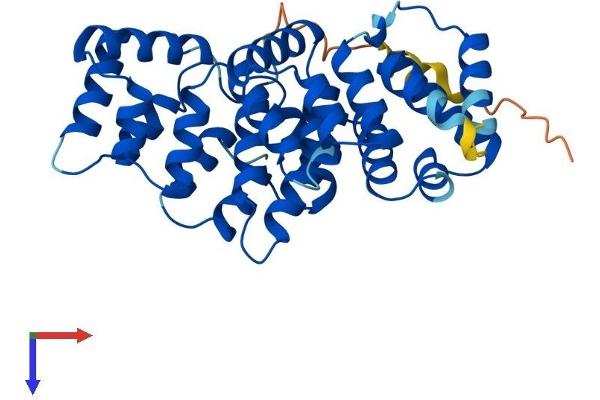 Annexin A9 Protein (ANXA9) (AA 1-345) (His tag)