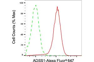 Flow cytometric analysis of ADSS1 expression in HepG2 cells using ADSS1 antibody (ABIN7797525), 1:2,000).