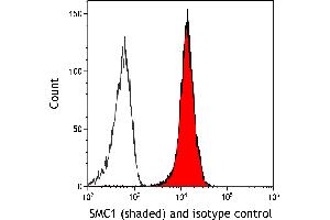Flow Cytometry (FACS) image for anti-Structural Maintenance of Chromosomes 1A (SMC1A) (C-Term) antibody (ABIN7455193) (Recombinant SMC1A antibody  (C-Term))